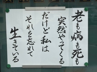 IMG_4933.jpeg
